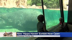 Hipporay! Milwaukee County Zoo opens new "Hippo Haven" exhibit