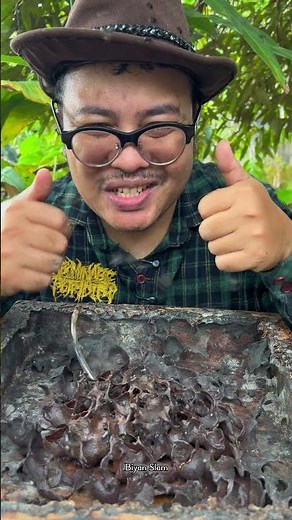 ASMR Rare Golden Stingless Bee Honey Drinking - 48 🐝 🍯 #shorts
