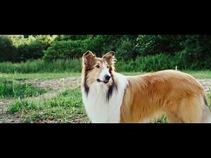 LASSIE DE VOLTA A CASA (Lassie Come Home) - Trailer Oficial PT (Dobrado)