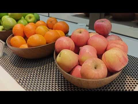 Singapore Changi Airport T1 Business Lounge Marhaba 8K