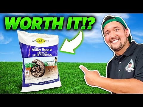What is Milky Spore and is it WORTH IT?