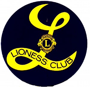 The iPad Revolution in Assistive Technology