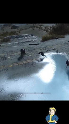 EverythingFallout on TikTok