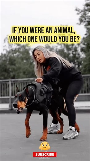 If You Were an Animal, Which One Would You Be? #shorts #predator #wildanimals #animals #animalshorts