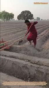 Préparation du Sol Mécanisée : Ouverture de Sillons par Tracteur pour la Plantation des Cultures