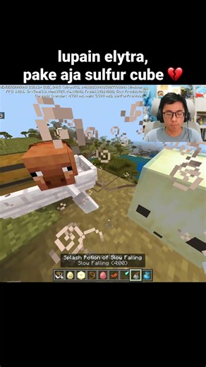 Momen Update Sulfur Cube Minecraft