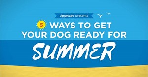 Check out these 5 tips to make sure you and your pet are ready for the dog days of summer! #PetsofVIP #dogsofsummer #happydoghappylife | VIP Petcare | Facebook