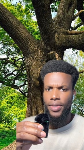 Stay away from these trees! #trees #nature #CAUTION #top5 | Papitino TV