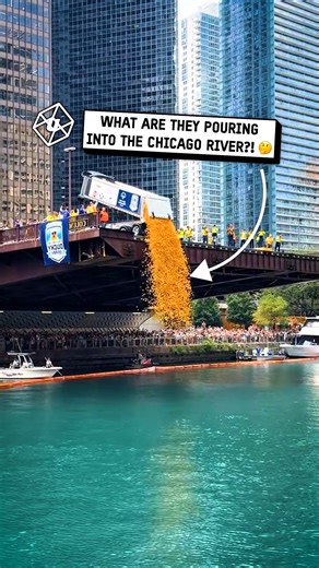 5.9M views · 9K reactions | Chicago’s most elite athletes have arrived 閭 | UNILAD | Facebook