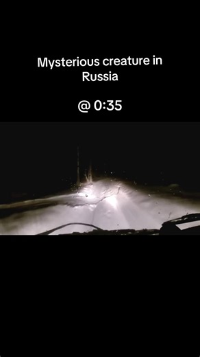 A driver in Russia captured something strange on their dashcam, and people still can’t agree on what it was. As the vehicle moves down a snowy road at night, a small figure suddenly appears and runs across the road before disappearing into the darkness. Some believe it was simply a person or an animal seen from an unusual angle. Others think its size and movement don’t match anything easily explained. The clip has sparked years of debate online and remains one of those videos that leaves more qu