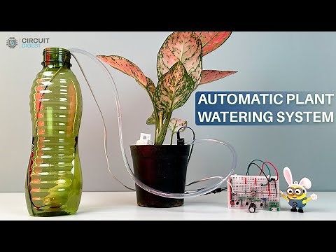 Simple and Easy to Build - DIY Low Cost Automatic Plant Watering Sysetm without Microcontroller