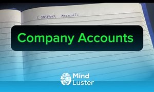 Mind Luster - Learn Company accounts Issue of shares