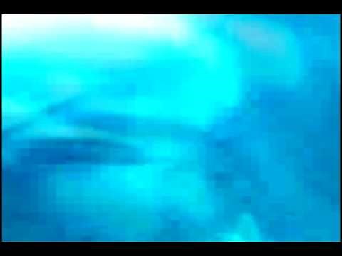 National Geographic Whale Mating - Uncensored