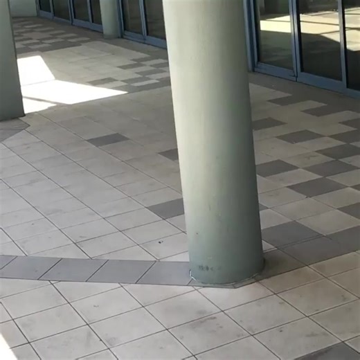 Snuck in this cheeky guy whilst mobbing 😃@phoenix_pro_scooters fc | Saundezy