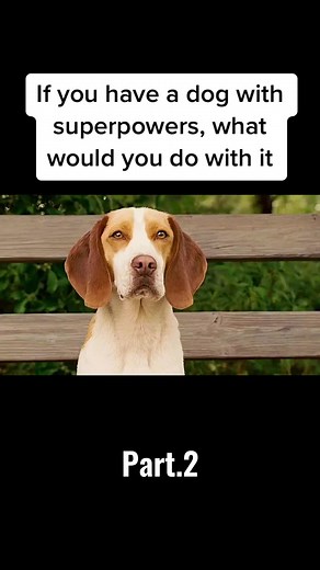 Flying Super Dog: The Heroic Journey of Justice and Love