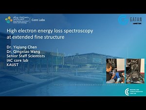 High electron energy loss spectroscopy at extended fine structure