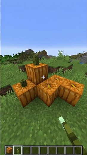 ¡4 Decoraciones Secretas en MINECRAFT que Tienes que Probar!