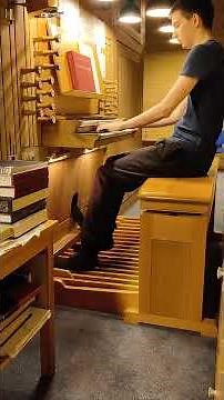 Star wars Throne room theme - organ cover #starwars #johnwilliams #foryou #organ #foryoupage