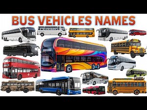 School Bus, City Bus, Tourist Bus, Double Decker | Bus Vehicle Names and Sounds
