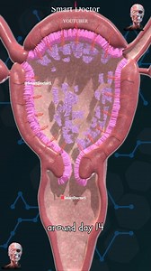 398K views · 3K reactions | Ovulación y ciclo menstrual...