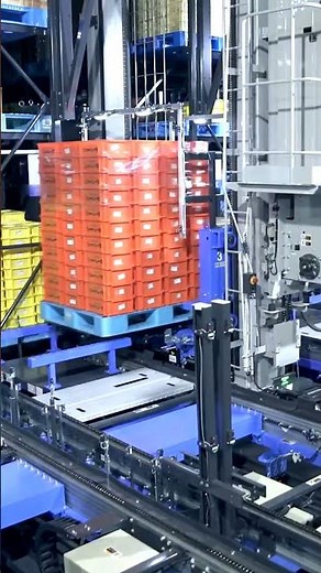 Cold Storage ASRS User Feedback | Food & Pharmaceutical Warehouse Upgrade Review