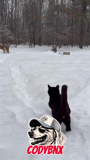 Cody Banx | We do get kinnes! | Instagram