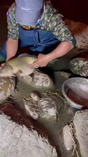 Swamp Fishing Adventure