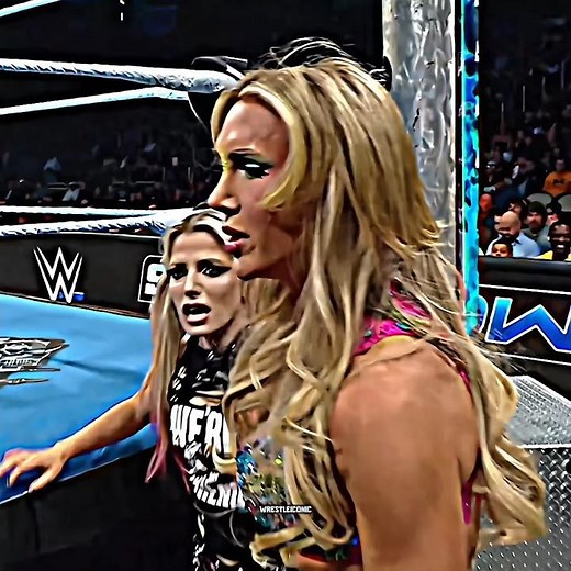 The Bella Twins vs Charlotte Flair & Alexa Bliss - WWE SmackDown Highlights Edit 🥵🔥 #wwe #shorts