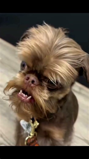 🤣🤣🤣🤣🤣🤣🤣