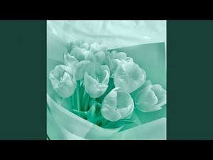 Solitude Velocity (Loop + Effects)