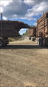674K views · 1.3K reactions | OTR drivers, take notes!  This log...
