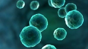 Cyclospora parasite affects dozens across Texas