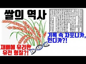 Types and History of Rice - The Importance of the O. Sativa Production Growth Process