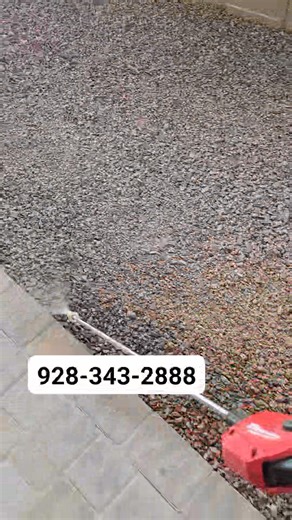 Your local pest control service with no contracts and low startup cost. Serving Yuma, San Luis, Somerton, Gadsden, Welton, and Tacna with flexible scheduling options that work for you. If bugs are a problem, we’re the solution. 📞 928-343-2888 | Desert Web Exterminating