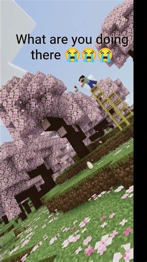 He is going to had a dinner 🤣🤣