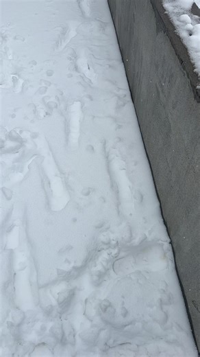 #خەلانی @ᔕᑌᖇᑕᕼI ،🦅 @\\ 🦅 ﮼هاوکار ﮼ ⚜️ ﮼／ @7 a m a 🪦🏴‍☠️ @alihfarhadagha