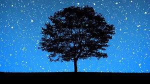 'Unity': Are We There Yet?