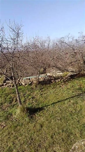 Subscribe and join our membership