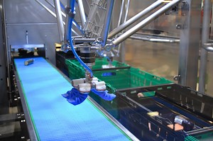 Robotic Basket Loader for Fruit & Vegetables