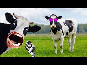 "101% HILARIOUS: Cows Dancing and singing and flying | Funny cow dance | cow song and cow videos 40