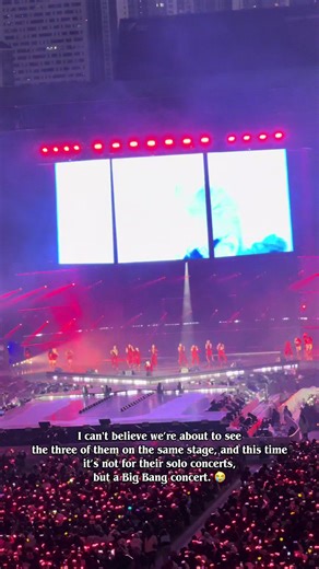 Big Bang Reunion Concert: A Dream Come True!