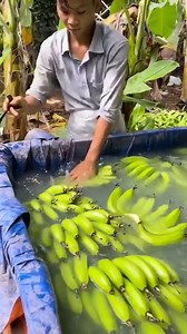 302K views · 1.6K reactions | The most amazing inventions | The Missionary | Facebook