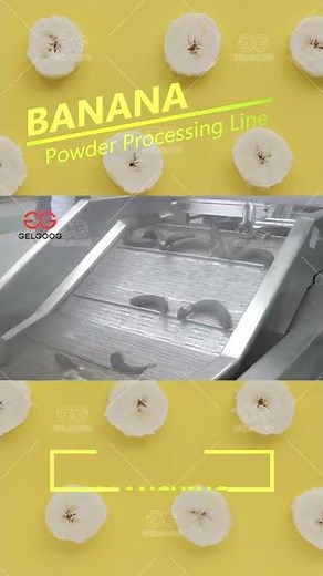 New Banana Powder Processing Manufacturing Plant