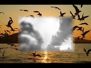 Demis Roussos "Les oiseaux de ma jeunesse" 🐦🐦🐦🐦 | Chansons Françaises De Tous Les Temps