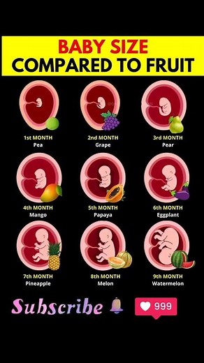 "Baby Size Compared to Fruit 🍉 | Month by Month Pregnancy Growth Explained!"