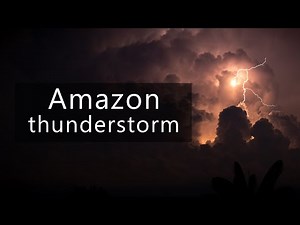 Amazon rainforest sounds - weird frogs and thunderstorm approaching