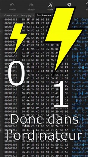 Que Ce Qu'est LE SYSTÈME BINAIRE ??? // Tutoriel de Développement fr