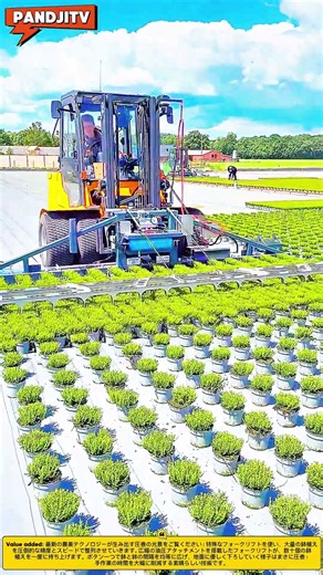 神業レベル！鉢植えを完璧な間隔で並べる特殊フォークリフト！#engineering #smart #machine #ideas #technology #automobile #farmlife