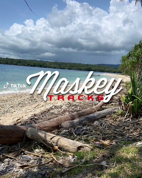 Une des musiques de mon enfance>>>🥳🔥⚡️#vaoisland🌴❤️#maskeytrvcks🗽 #goodvibes #frypgシ #pourtoi #xybcafyp