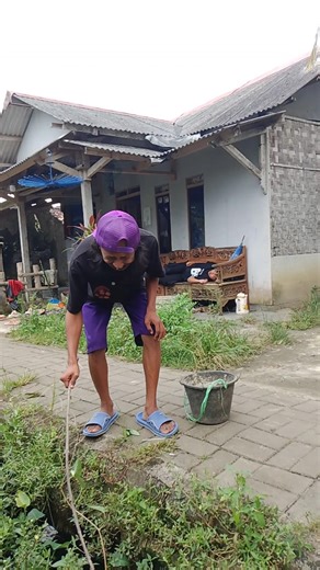 mancing di solokan mau dapat ikan bayong malah dapat ular #Bangaceng #KomediIndonesia #comedy